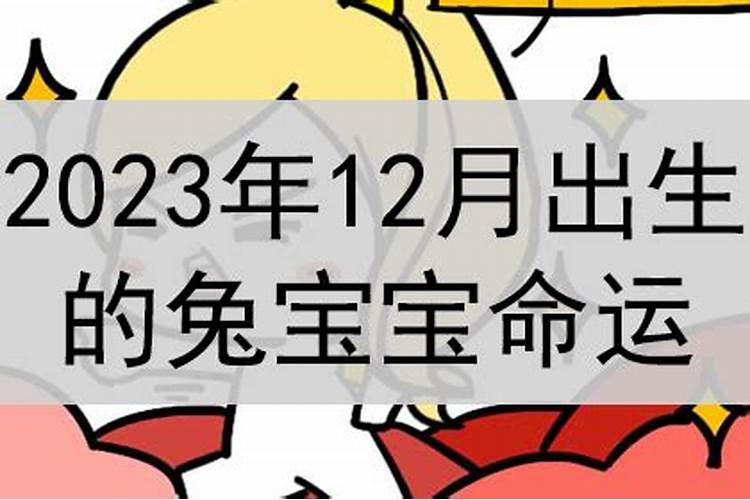 12月出生的兔命运如何