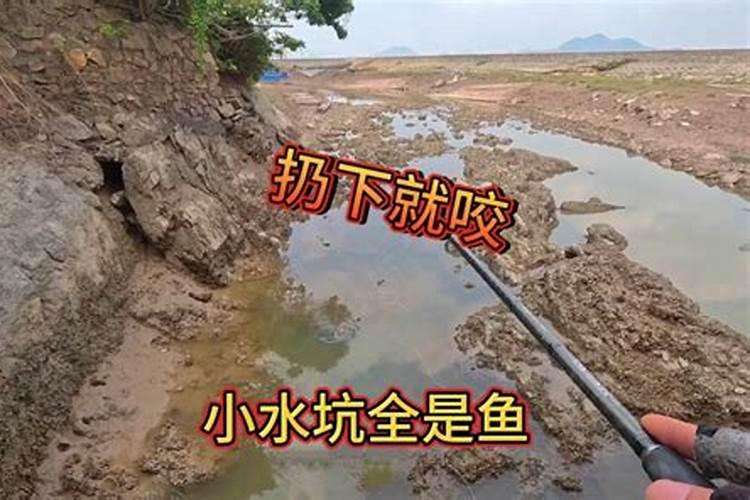 做梦梦见水坑