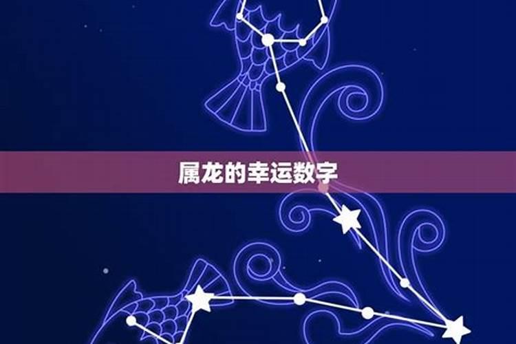 2020年属龙人的幸运数字是多少