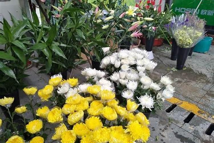 清明节用鲜花祭拜祖先原因是什么