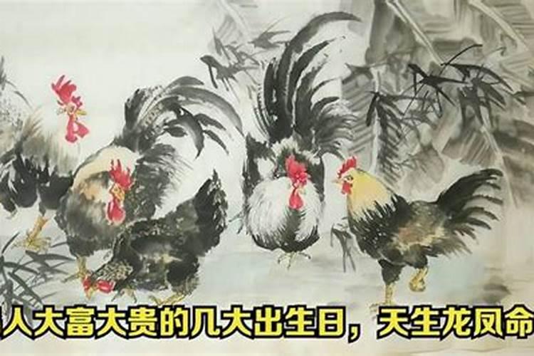 属鸡忌讳几月出生农历