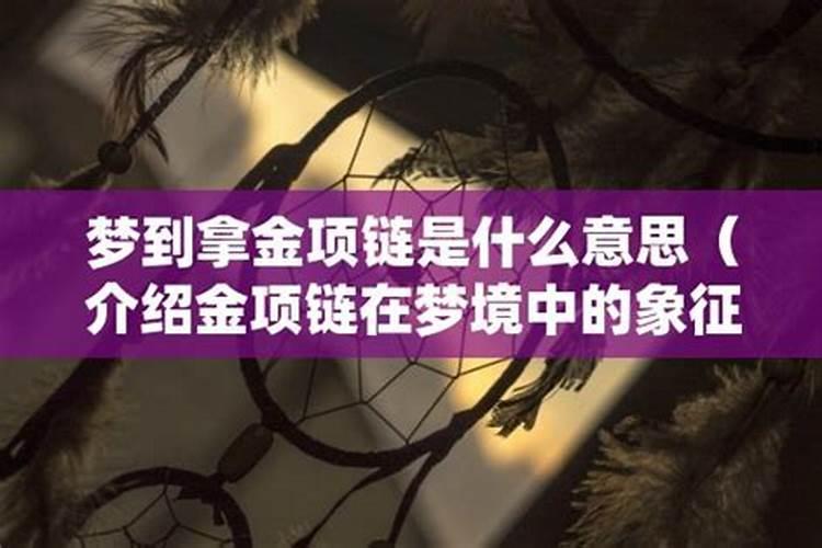 梦见拿了别人的金项链