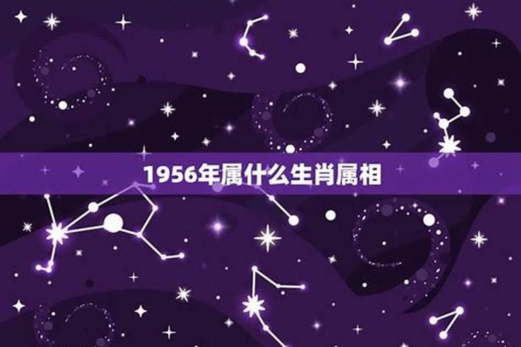 1967年出生的人属什么生肖