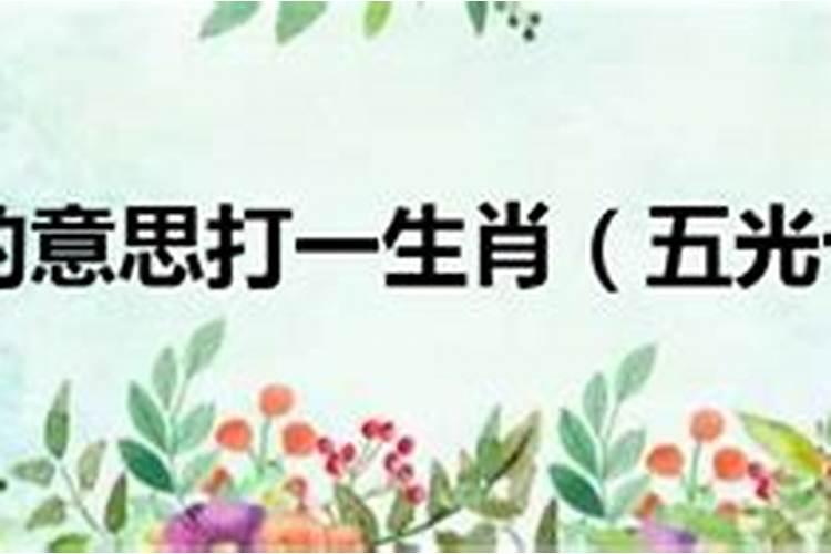 紫荆花代表什么生肖打一生肖