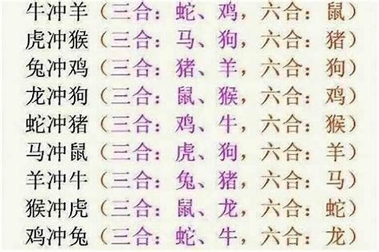 属蛇的和属羊的八字合不合