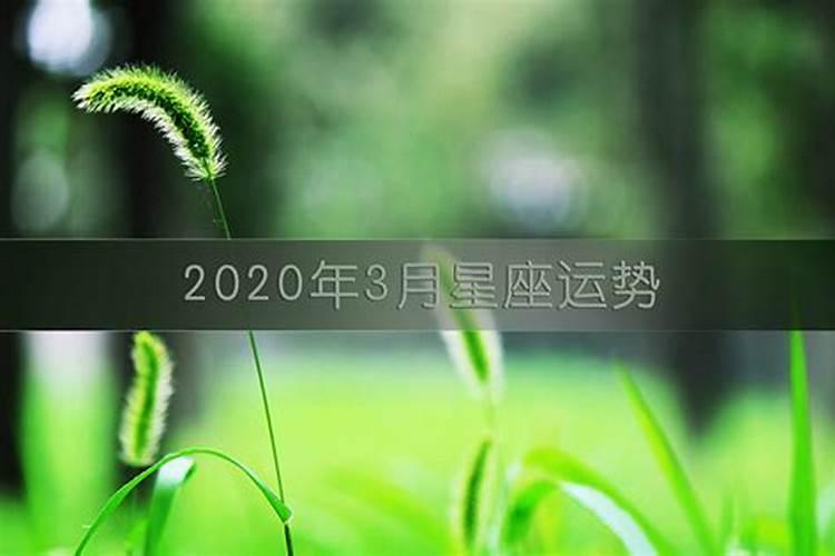 2020星座年运