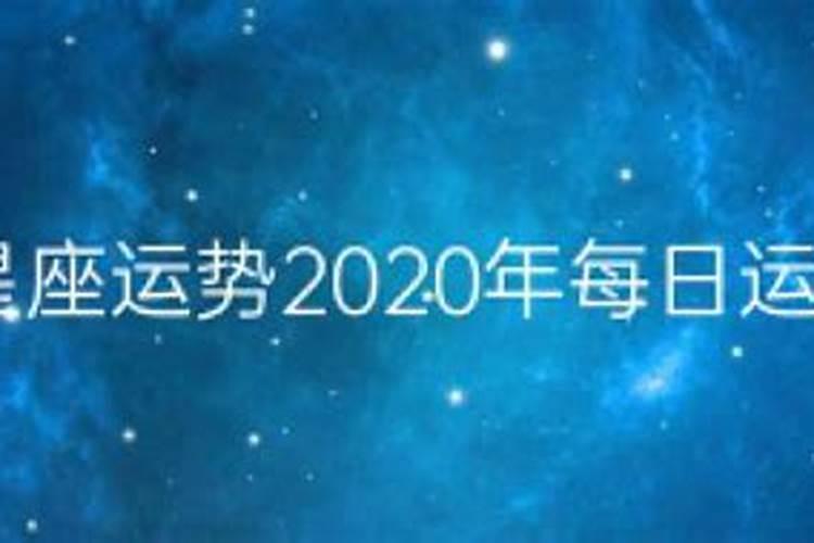 每日星座运势2023年