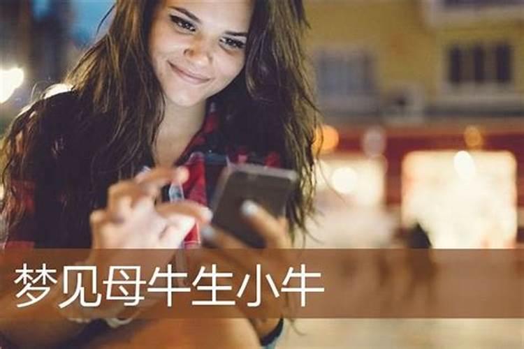 已婚女人梦见母牛生小牛