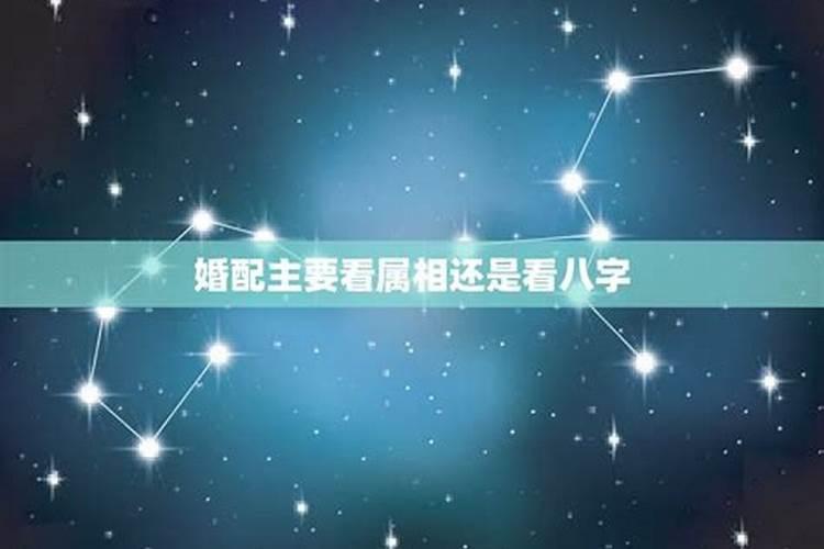 婚配看星座还是属相