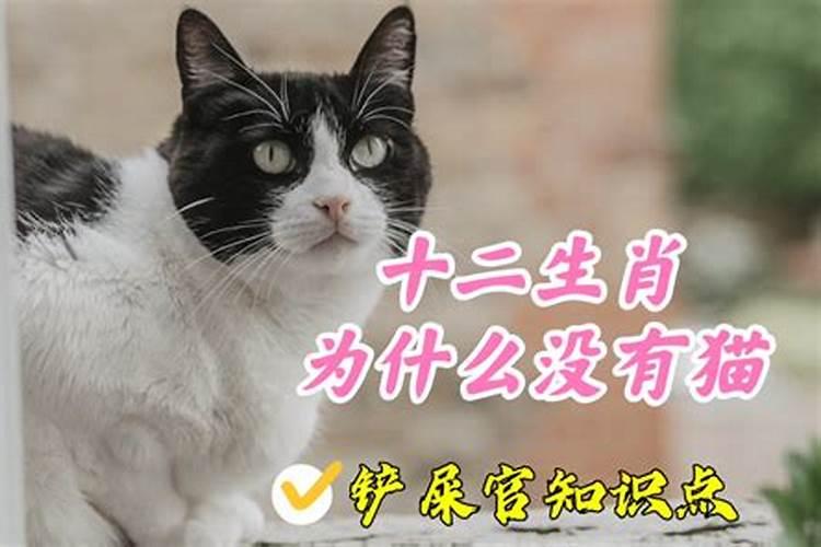 12生肖为什么没有鱼猫鸭