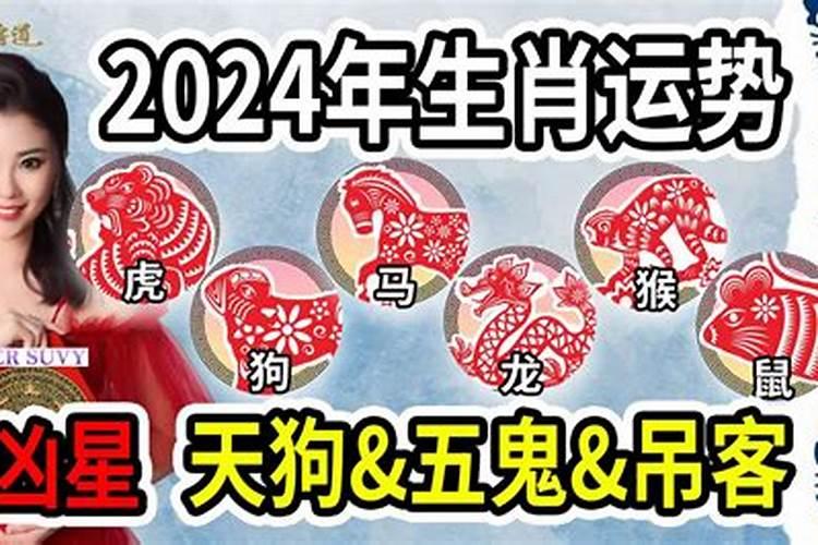 今年犯小人的属相是哪几个