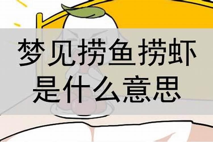 梦到捞了很多虾是什么意思