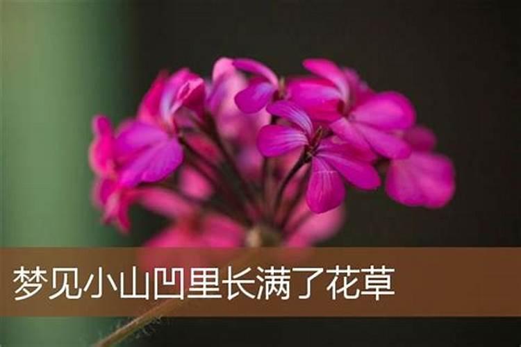 做梦梦到花草是什么意思