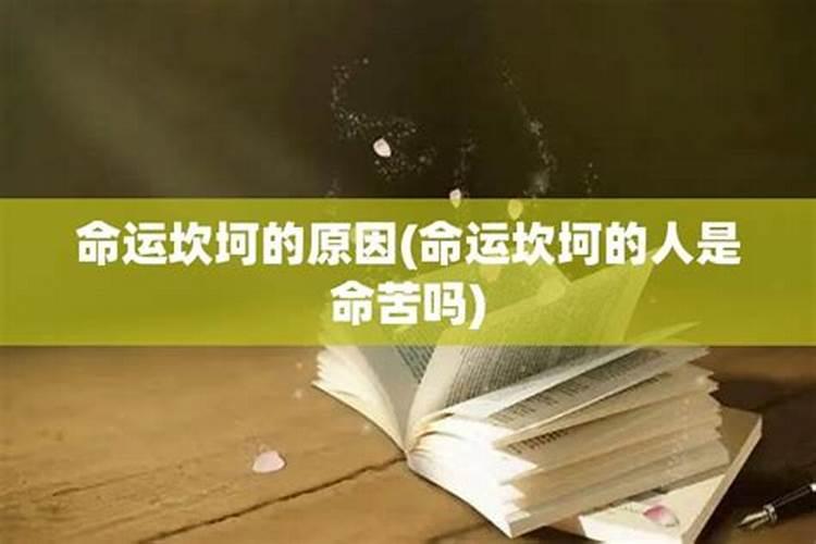 本命年梦见洪水了是什么征兆呢