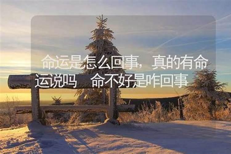 我今年运气特别差怎么办