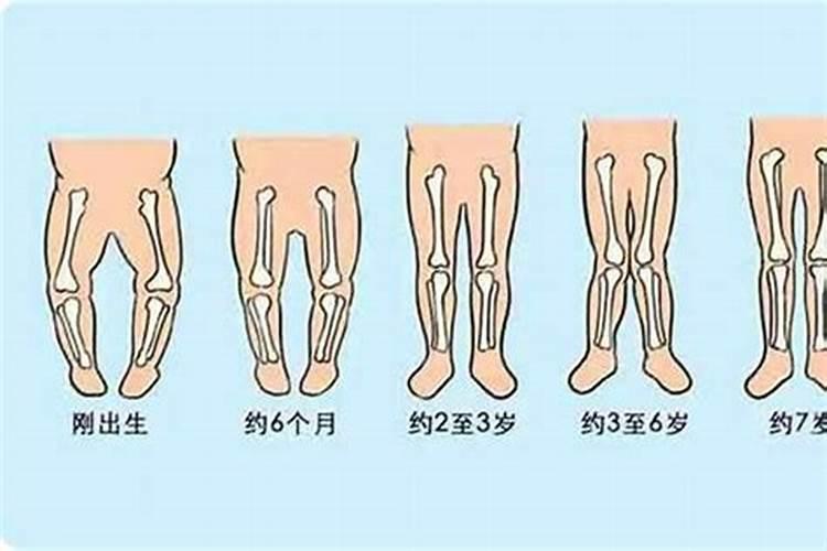 1950年属虎的今年运气