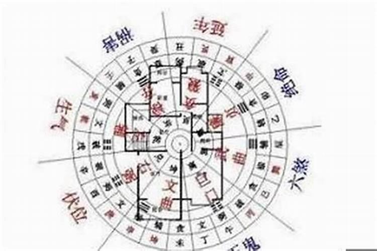 84年的属鼠人是什么性格的人