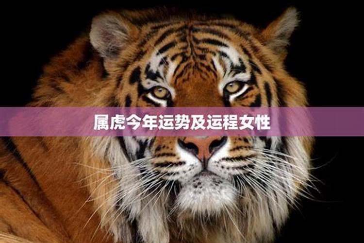 生肖猴子今年运势如何呢