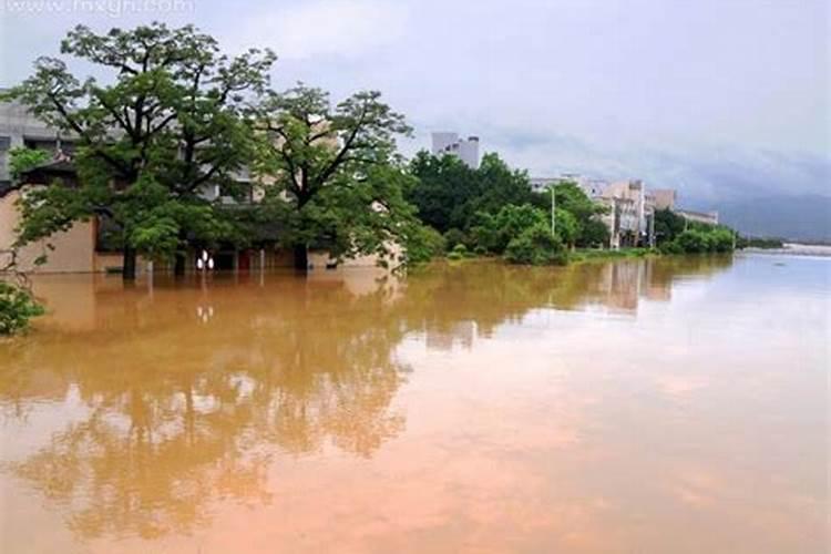 梦见发大水预示啥意思