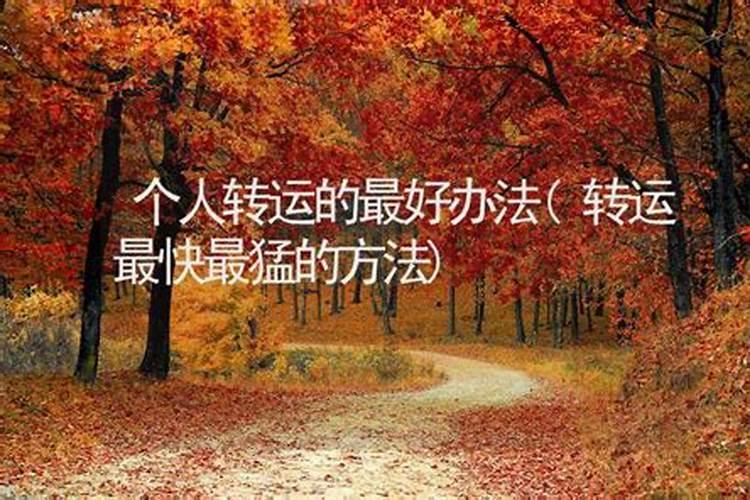 古代的计数方法有什么？