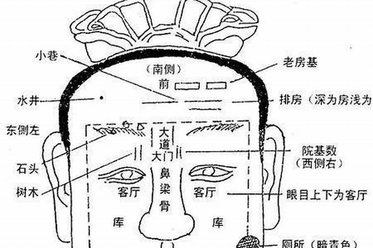 生肖虎配哪个生肖合适