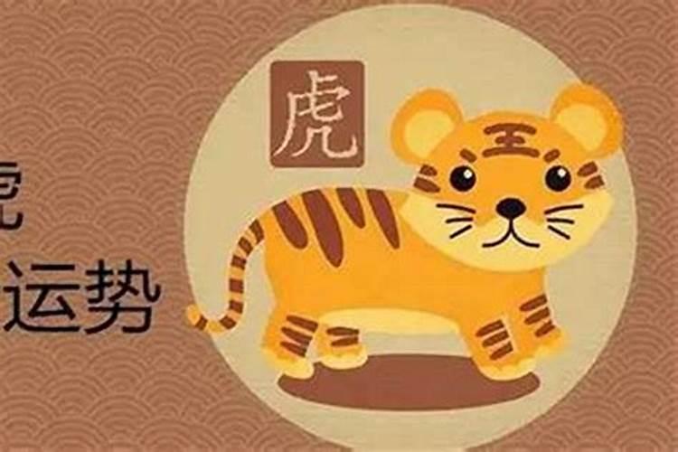 猪年正月初二出生的人命运