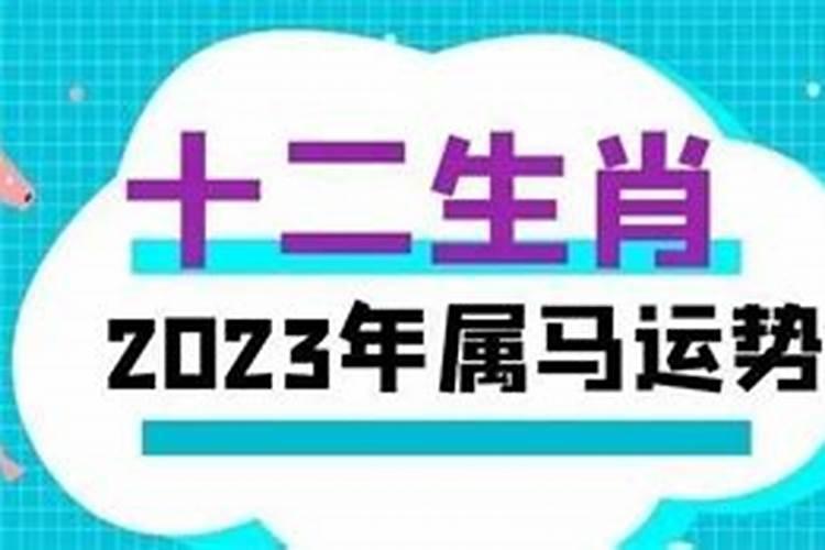 2023年生肖马的