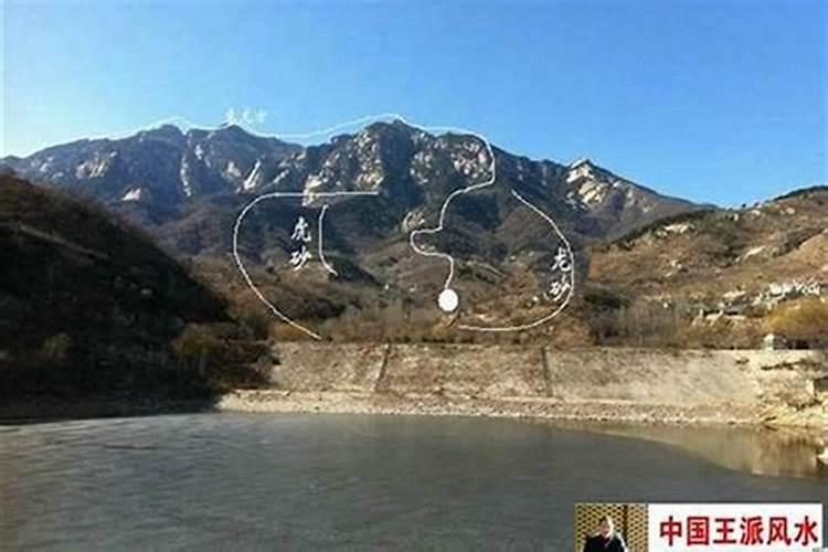 杨老师看风水