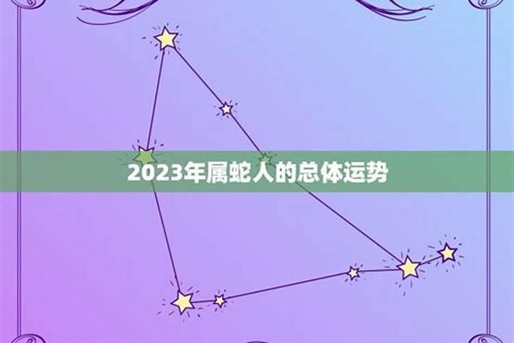 2023年属蛇人的命运