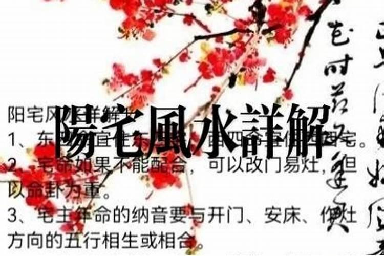 属猪女2022年适合结婚吗婚姻如何