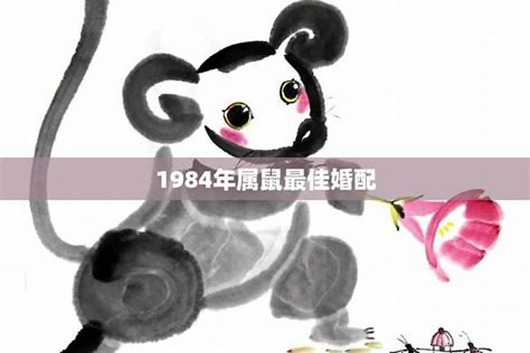 1984属鼠和哪个属相配