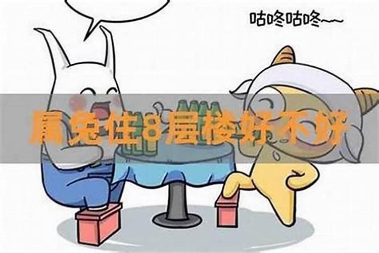 属牛和属兔的适合什么楼层