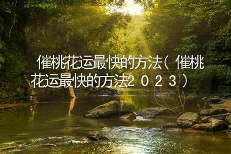 2021属蛇11月份运势