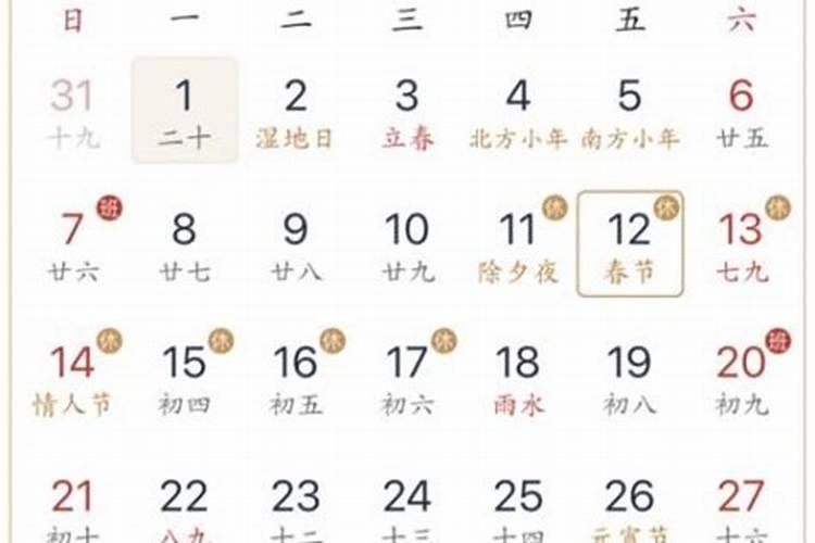 八字伤官坐比肩