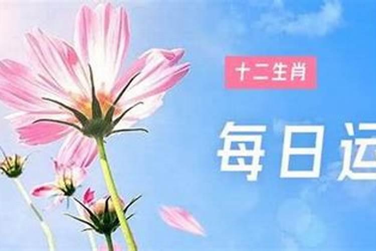 10月1号特吉生肖