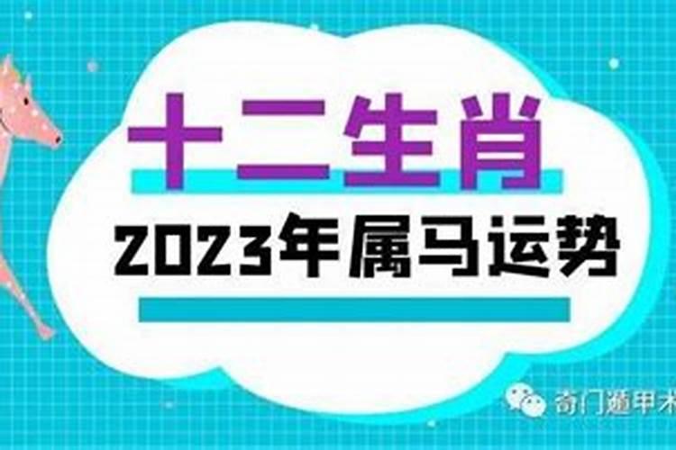 生肖马2023年天喜年