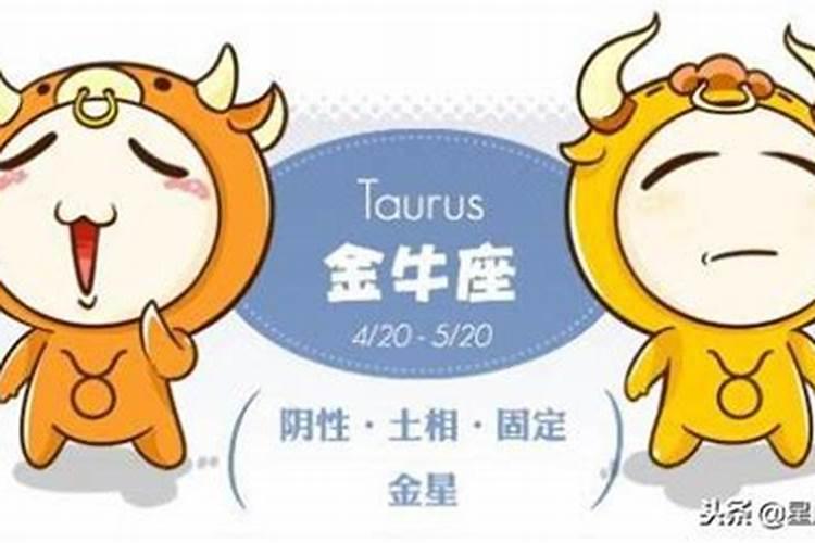 属虎的2022年犯太岁能做生意意吗