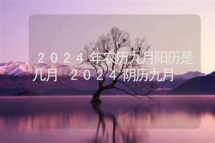 99年兔2022年考研运势