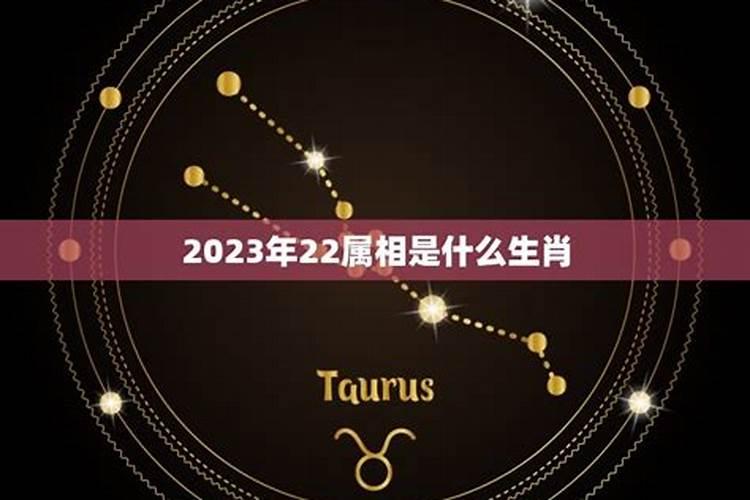 2023属相是什么？