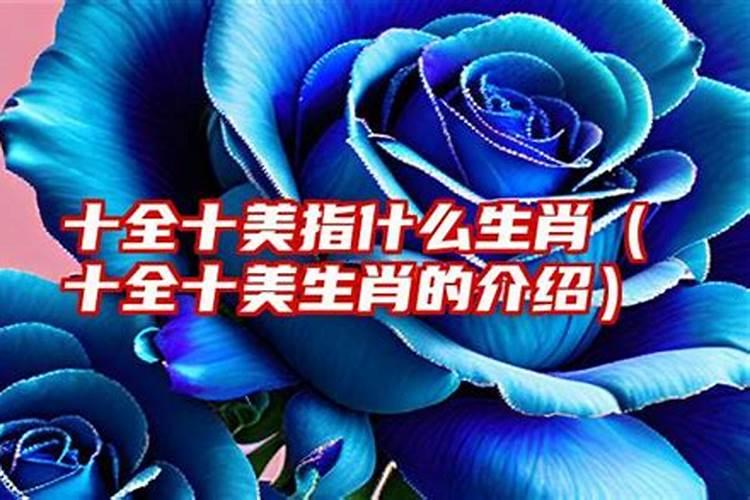 为什么家不顺婚姻不顺呢