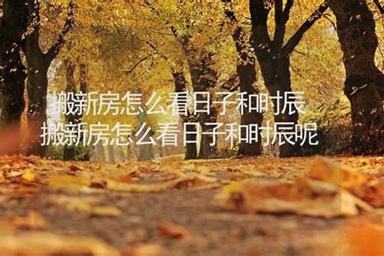 梦见前对象是因为什么