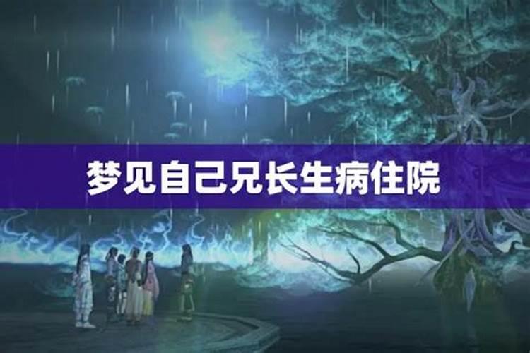 数龙的2024年的运势