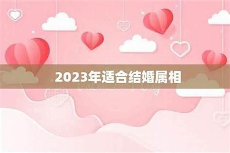 2024结婚适宜属相