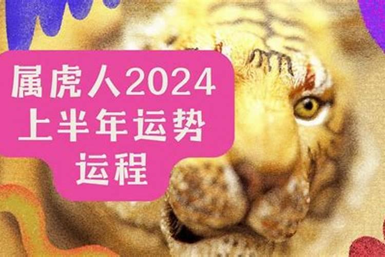 1986生人2024年的运势如何