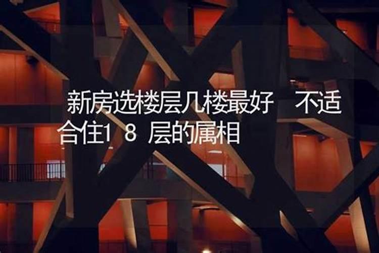 两人八字很合什么意思