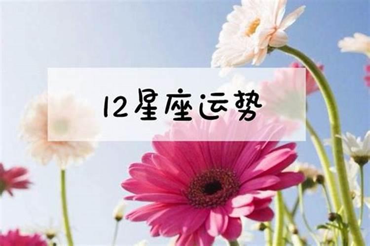 10月23日星座运势