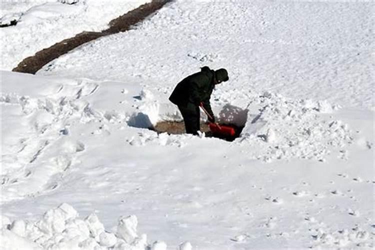 梦见清理雪并铲冰块