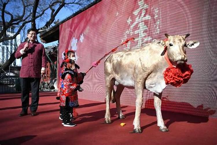 几月几号是财神节啊