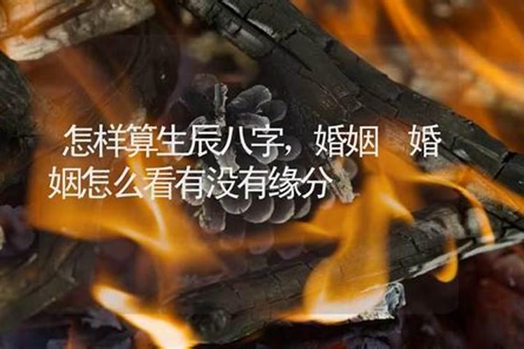 梦到姐姐生孩子什么意思周公解梦