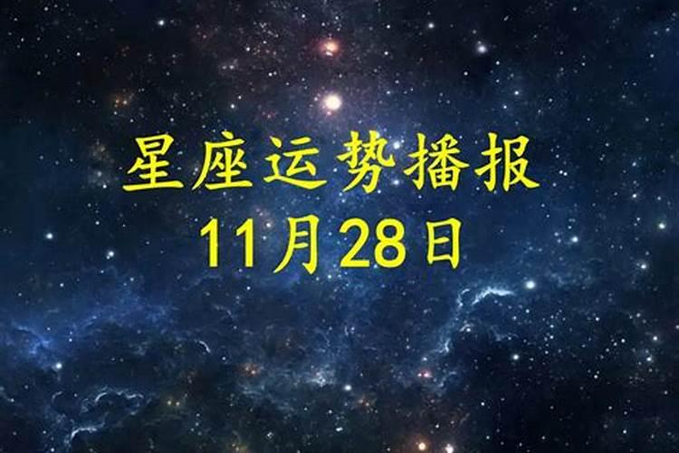 11月26日运势